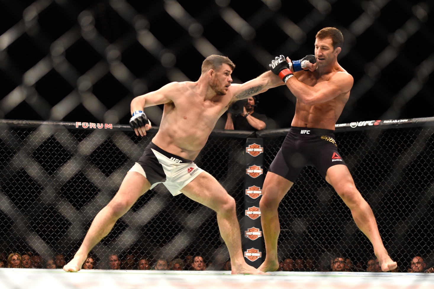 Michael Bisping vs Luke Rockhold