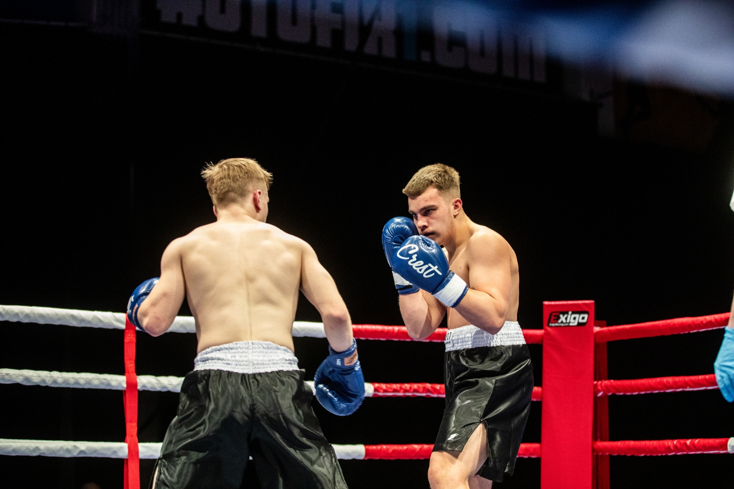 Blackdankku ja Testo-Osku kehässä. White Tiger Boxing -ilta sai dramaattisen käänteen!