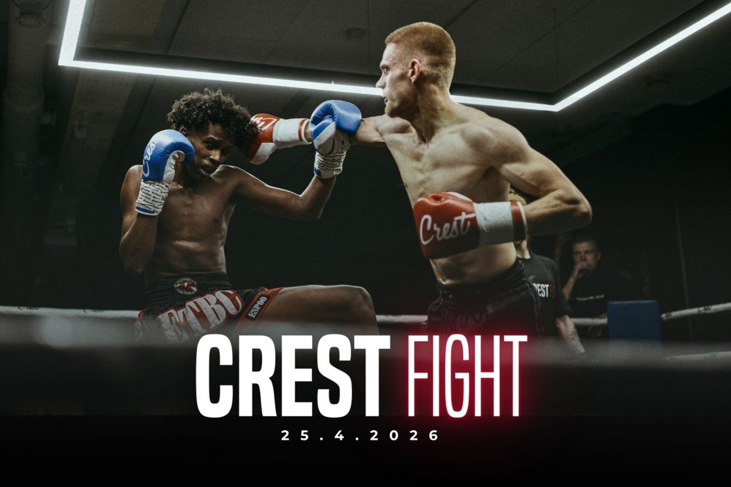 Crest Fight II